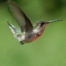 여주제일고등학교 이미지