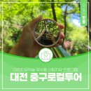 대전 중구로컬투어 포레스트 힐링 후기, 대전치유의숲 무수동 산림치유 프로그램