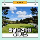 천평농장 | 화성 애견카페 멍피니스 방문 후기