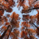 장계관광지 이미지