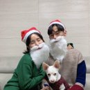 강아지잔칫집 이미지