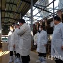 현산축산 이미지