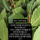 브이아이피미용실