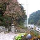 송암민박