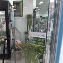 에스투비원