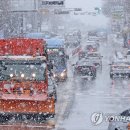 함박눈