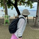 오투투어여행사 | [세부] 오슬롭 고래상어 & 원숭이 마을 : 세친구투어 | 조인 오투팩 (심해공포증 후기)