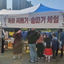 목화마을