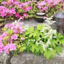 픽션하우스 이미지