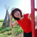 엘리사벳님 레이스 숄더 탱크탑 &lt;티나&gt; 테스터 후기