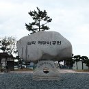 조용하고 한적한 바다 풍경을 즐기고 싶다면 이곳으로! 알아보기 이미지