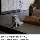 멍멍#