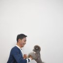 이삭애견훈련소 이미지