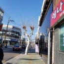 장성일식 이미지