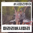 친절한 심약국 | 발리 마라리버 사파리 지프투어 금액과 예약 방법 (feat. 벌레 물렸을 때)