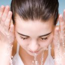 세안농장 이미지