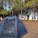 성산포수협표선복지회관목욕탕 이미지