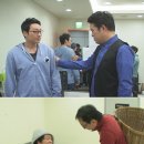 에코하우스 이미지