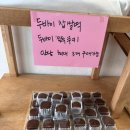 초록곰떡공방