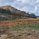 현산농협주유소 이미지