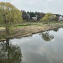 마루공원 축구장_1 이미지