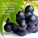 성락침례교회 이미지