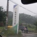 석촌알밤농원