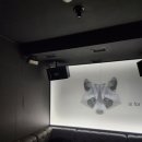 몽키타운 이미지