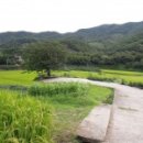 서당삼거리 이미지