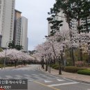 삼각지공인중개사사무소 이미지