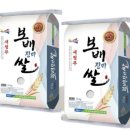 진미 중앙뉴스라인