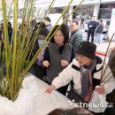 주식회사 희망나무 이미지