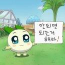 배틀샷