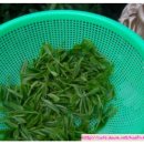 해인어린이집 이미지