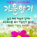 느낌 이미지
