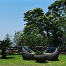 와흘리 1798 | 제주도 가족펜션 동쪽 펜션 제주 펜션 체크인 후기