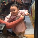 낙은로 | 용인 돌스냅 잘 찍는 프라이빗 한옥스튜디오 정성헌 촬영 후기