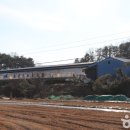 울산EDA승마장 이미지