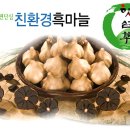 남해보물섬마늘영농조합법인