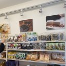 기찬 F.S 이미지