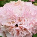 화원농장2 이미지