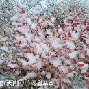 숙미용실 이미지