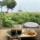 제주다원 | 제주 다도체험 제대로 즐기고 온 제주다원 쉼한모금 후기