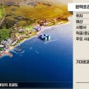 관광단지로(서) 이미지