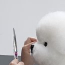 구미펫직업훈련학원 이미지