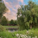 Good Forest 이미지