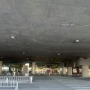 300020 | 중국 천진 여행 day1빠누훠궈巴奴火锅 静园 우다다오 빈장다오