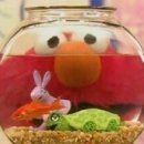 보통의날들 이미지