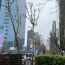 구만족발보쌈 이미지