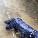 비안달